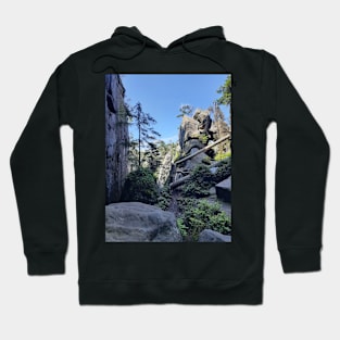 Rocky forest Hoodie